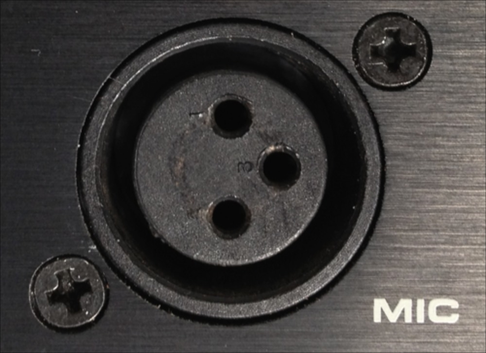 XLR Mic Input