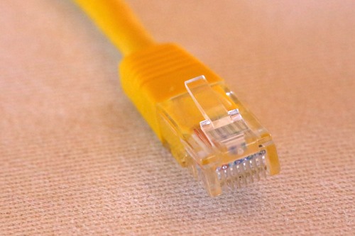 RJ45 Plug and Cable